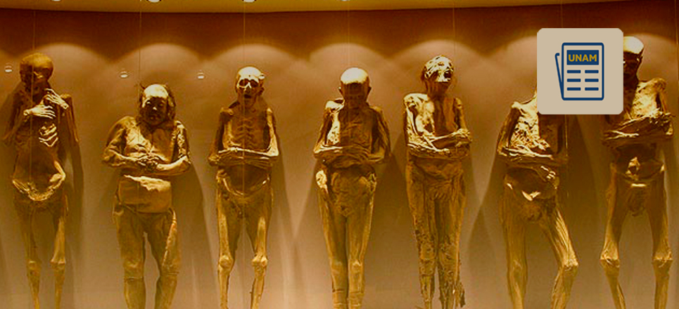 TAllER MECANICO Xcamino A Momias